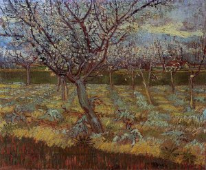 Apricot Tree in Bloom by Oil Painting Reproduction