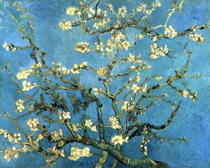 Branches with Almond Blossom by Vincent van Gogh Oil Painting Reproduction