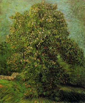 Chestnut Tree in Bloom by Vincent van Gogh Oil Painting Reproduction