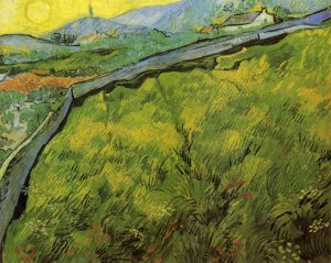 Field of Spring Wheat at Sunrise by Vincent van Gogh Oil Painting Reproduction