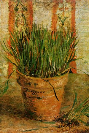 Flowerpot with Chives by Oil Painting Reproduction