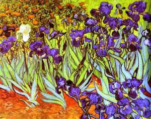 Irises 1889 by Vincent van Gogh Oil Painting Reproduction