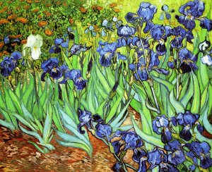 Irises II by Vincent van Gogh Oil Painting Reproduction