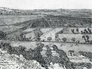 La Crau Seen from Montmajour by Oil Painting Reproduction