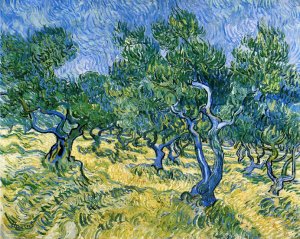 Olive Grove by Vincent van Gogh Oil Painting Reproduction