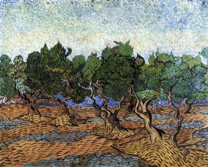 Olive Grove by Oil Painting Reproduction