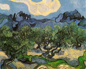 Olive Trees with the Alpilles in the Background by Vincent van Gogh Oil Painting Reproduction