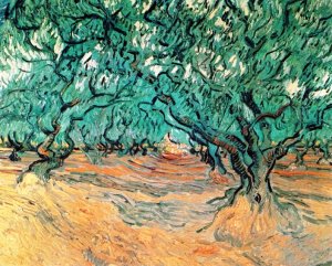 Olive Trees by Oil Painting Reproduction