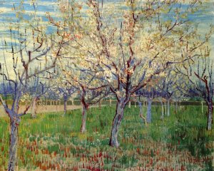 Orchard with Blossoming Apricot Trees by Vincent van Gogh Oil Painting Reproduction