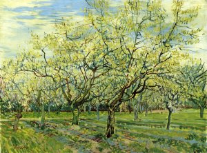 Orchard with Blossoming Plum Trees by Oil Painting Reproduction