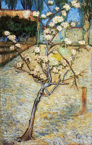 Pear Tree in Blossom by Oil Painting Reproduction