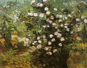 Rosebush in Blossom by Vincent van Gogh Oil Painting Reproduction