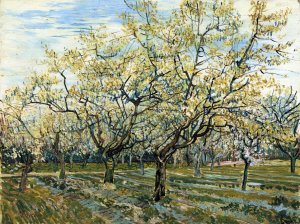 The White Orchard by Vincent van Gogh Oil Painting Reproduction