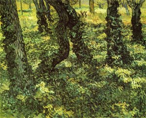 Trunks of Trees with Ivy by Oil Painting Reproduction