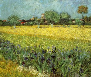 View of Arles with Irises by Vincent van Gogh Oil Painting Reproduction